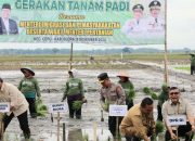 Gugus Tugas Ketahanan Pangan Polri Tanam Padi Serentak, Cetak 10 Ribu Hektare Sawah 