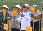 Panen Raya Jagung Serentak Digelar di Konsel, Sultra Siap Jadi Lumbung Pangan Nasional